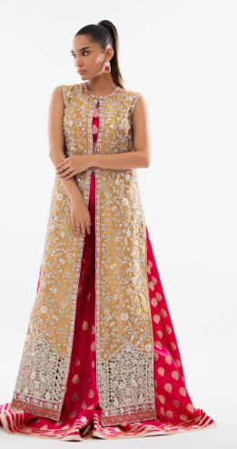 Zari Net Dupatta with Scalloped edges and Chan with article Aleen- Customized
