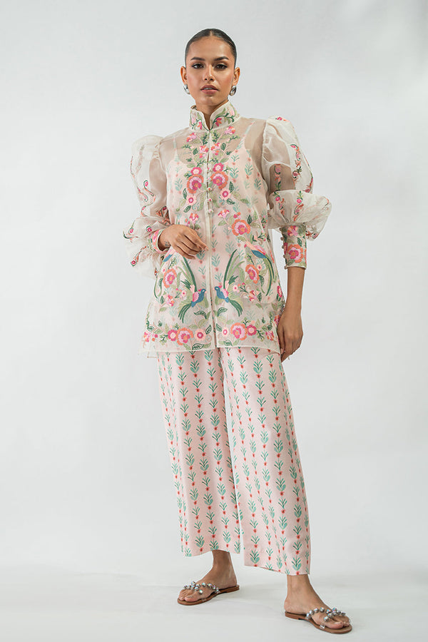 Ameera - RTD