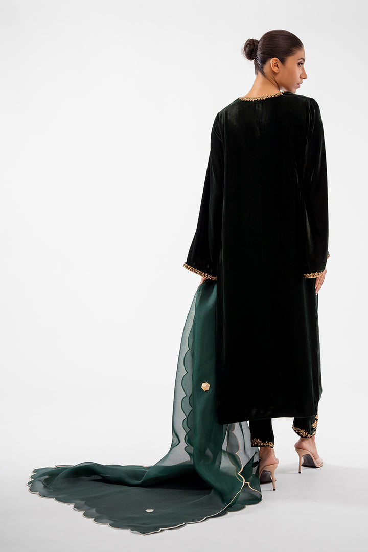 ramza-Luxe Pret-Full Set-Velvet / Organza-Clothing