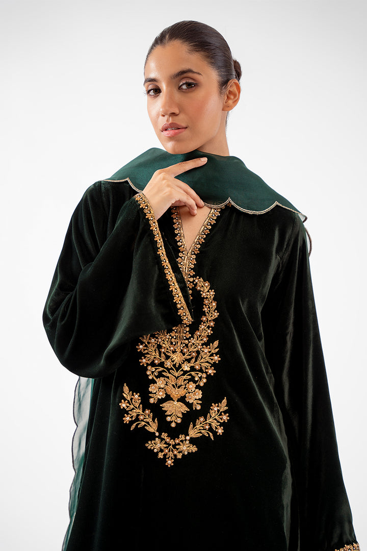 ramza-Luxe Pret-Full Set-Velvet / Organza-Clothing