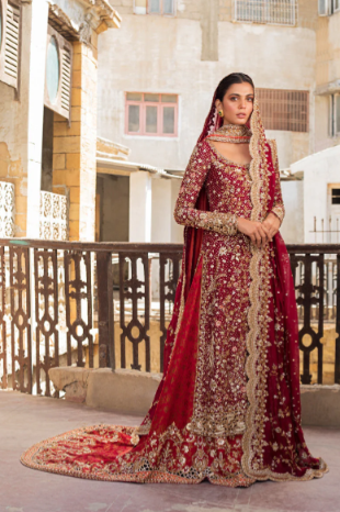 Iliana Lehenga Customized with Thin border