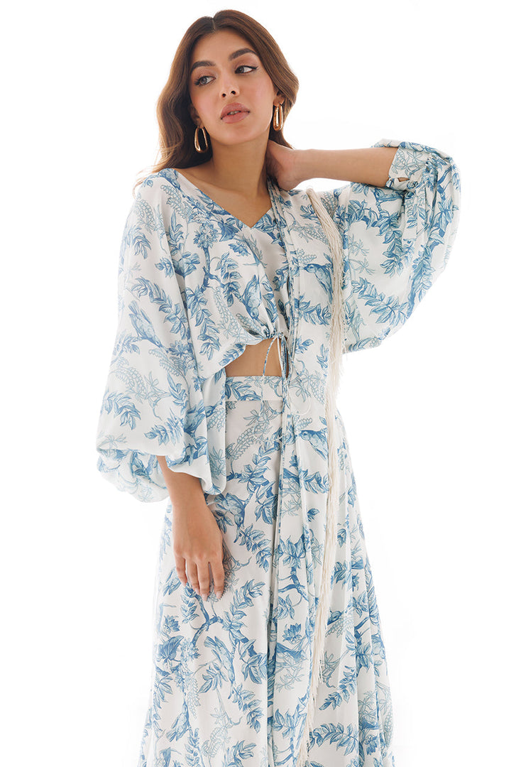 sari & Blouse-Charmeuse