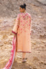 jenna-Luxe Pret-Shirt & Dupatta-Cotton Net / Medium Silk-Clothing