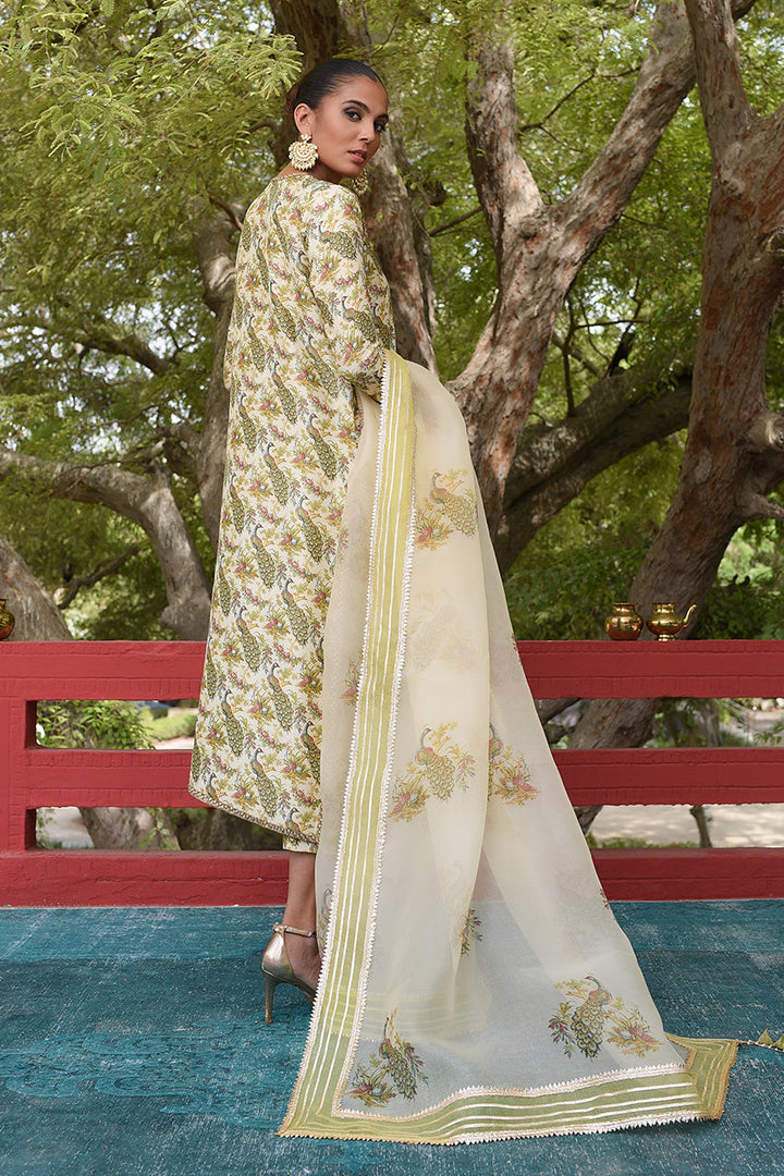 Full Set-Raw Silk