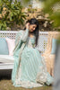 Peshwas-Cotton Net