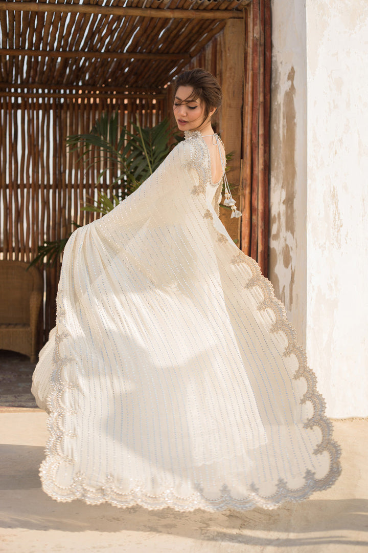Peshwas-Cotton Net