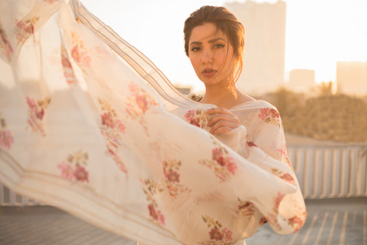 Saree-Cotton Net