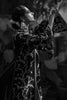 Full Set-Self Jamawar