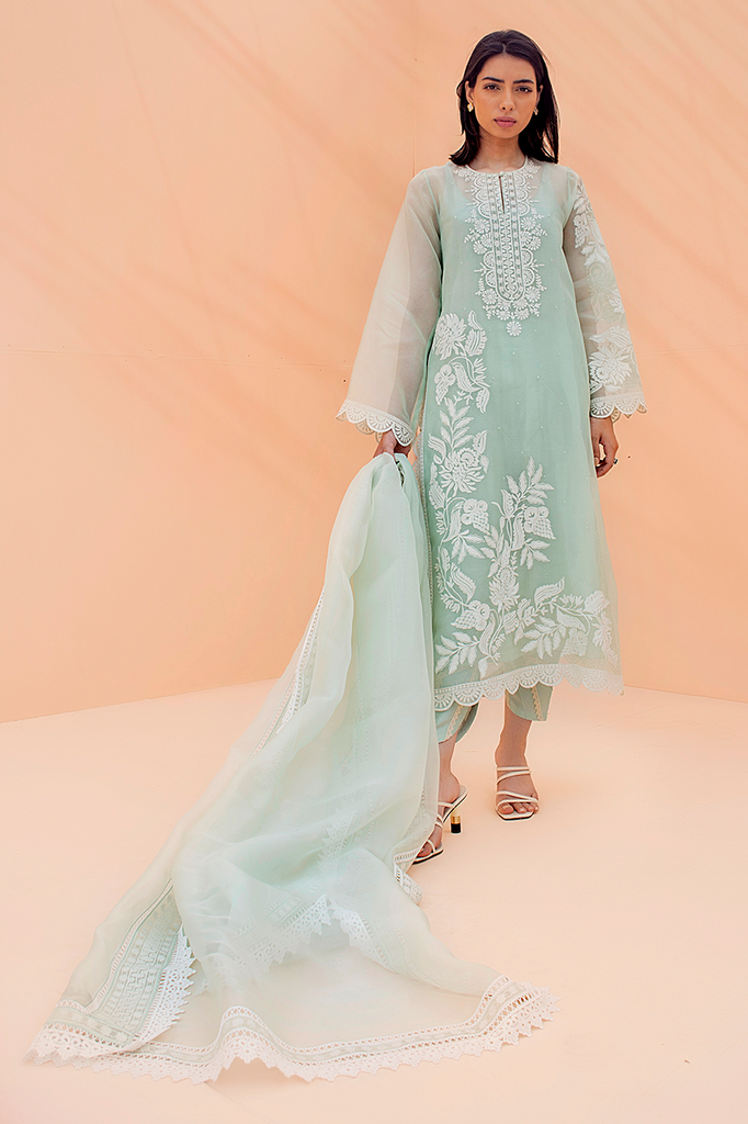 Shirt & Dupatta-Organza