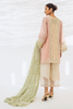 Shirt & Dupatta-Cotton Net