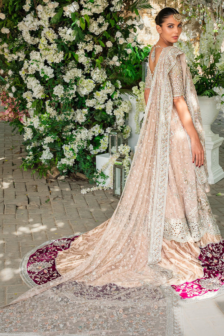 Full Set-French Net