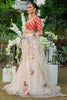 Choli & Saree-Net