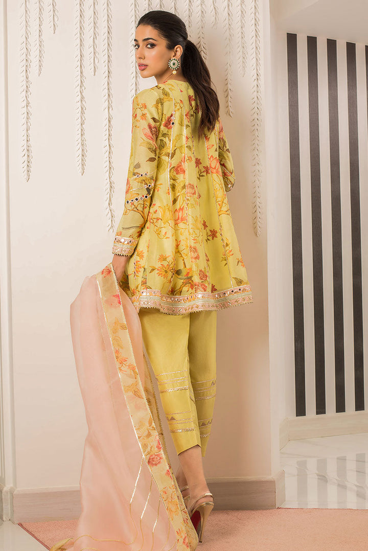 Angrakha-Cotton Net