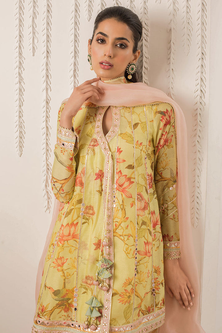 Angrakha-Cotton Net