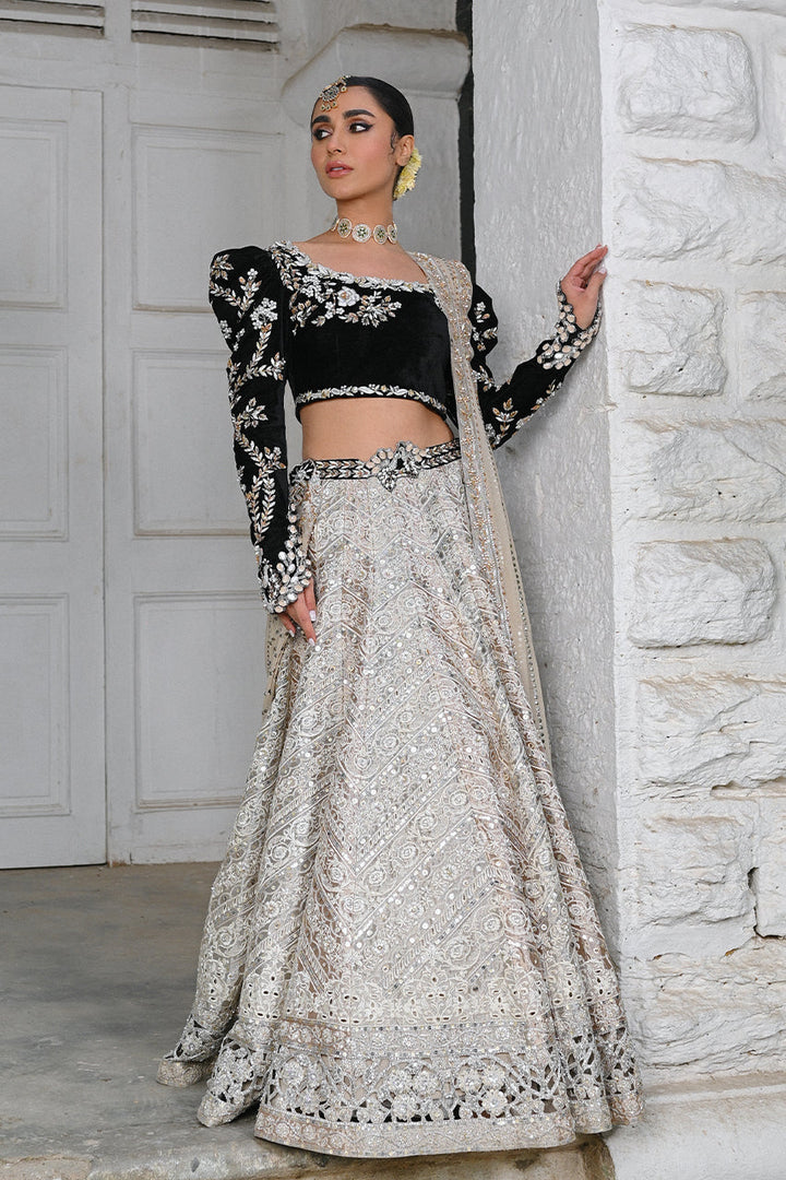 Choli-Velvet