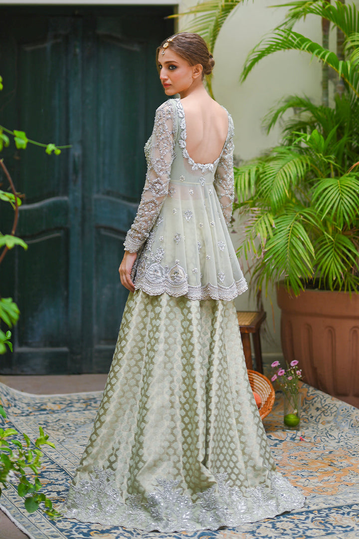 Full Set-Net Tissue Brocade
