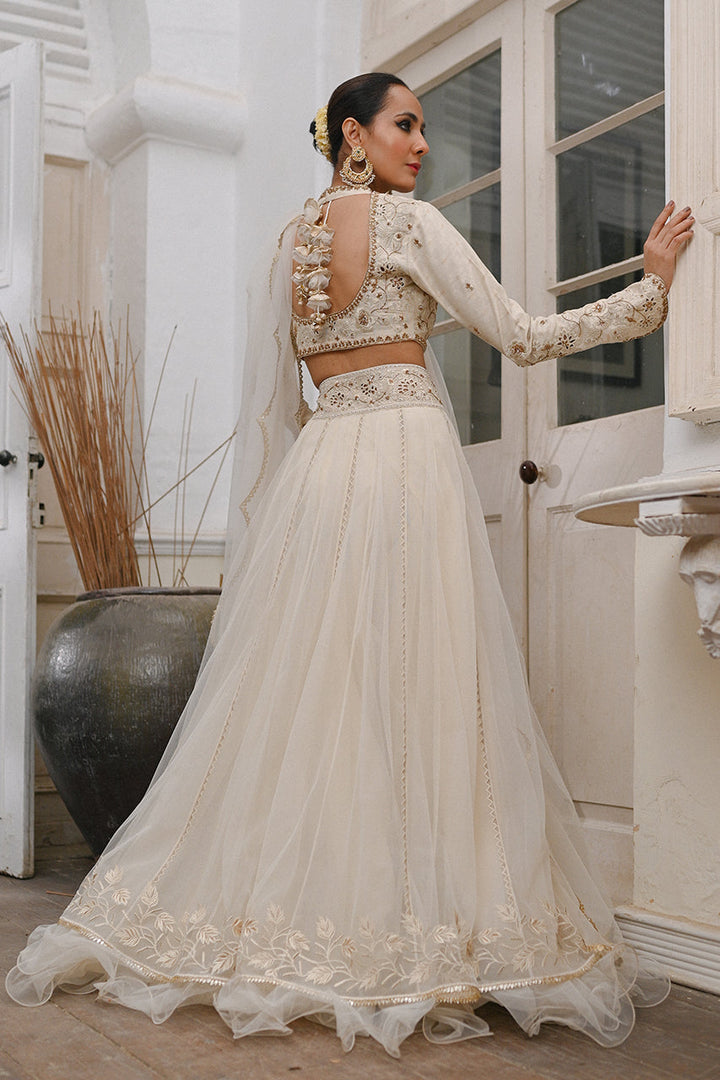 Full Set-Net Tulle