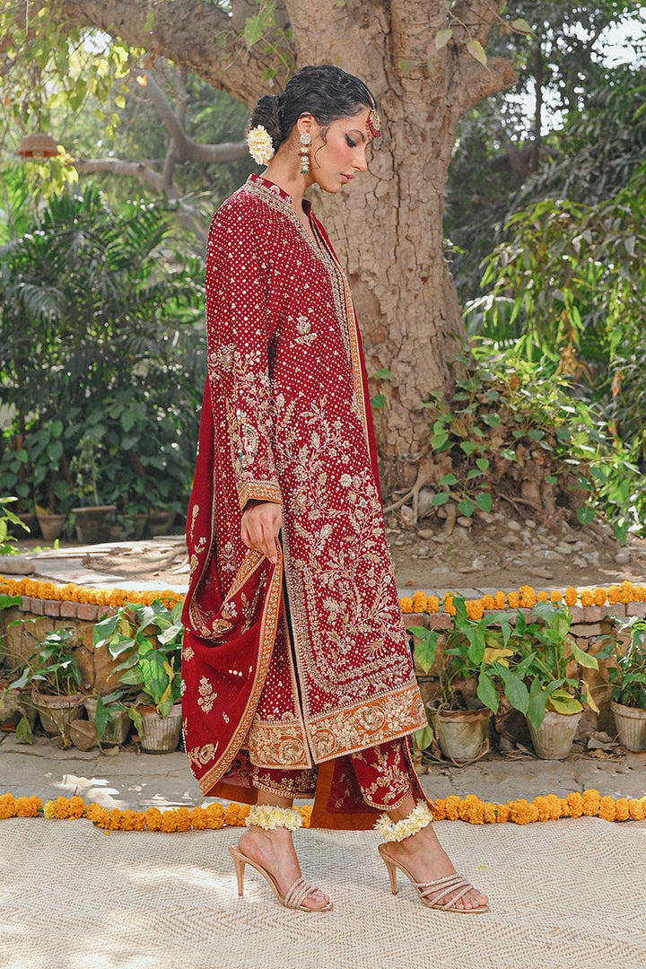Full Set-Cotton Net