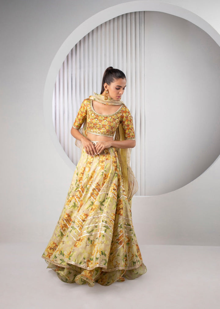 lehnga & Choli-Jamawar