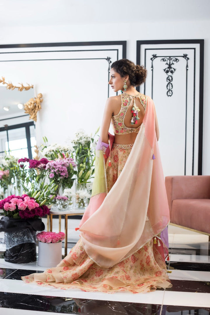 lehnga & Choli-Organza