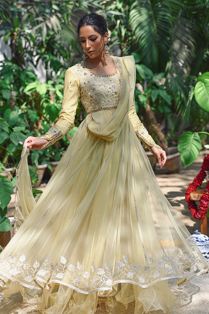 Peshwas with Draped Dupatta-Net