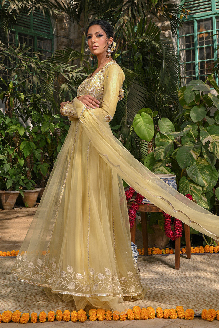 Peshwas with Draped Dupatta-Net