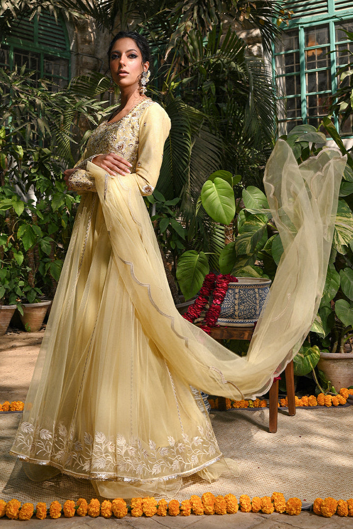 Peshwas with Draped Dupatta-Net