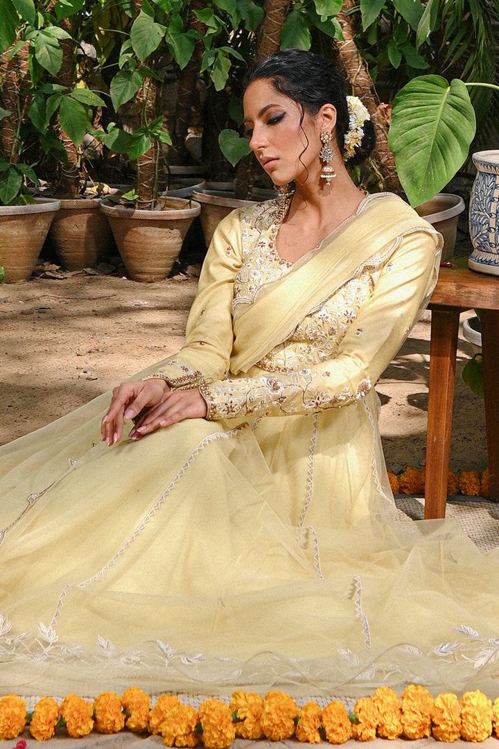 Peshwas with Draped Dupatta-Net
