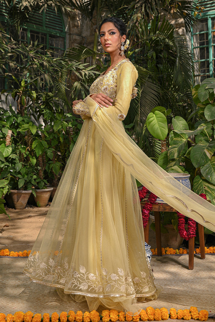 Peshwas with Draped Dupatta-Net