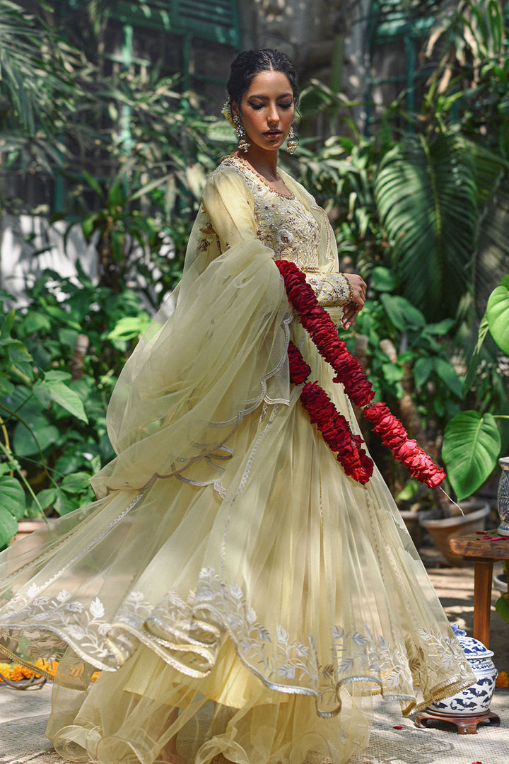 Peshwas with Draped Dupatta-Net
