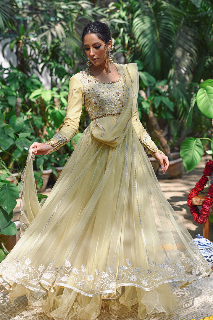 Peshwas with Draped Dupatta-Net