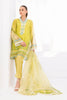 Shirt & Dupatta-Cotton Net