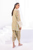 Shirt-Khaddi Silk